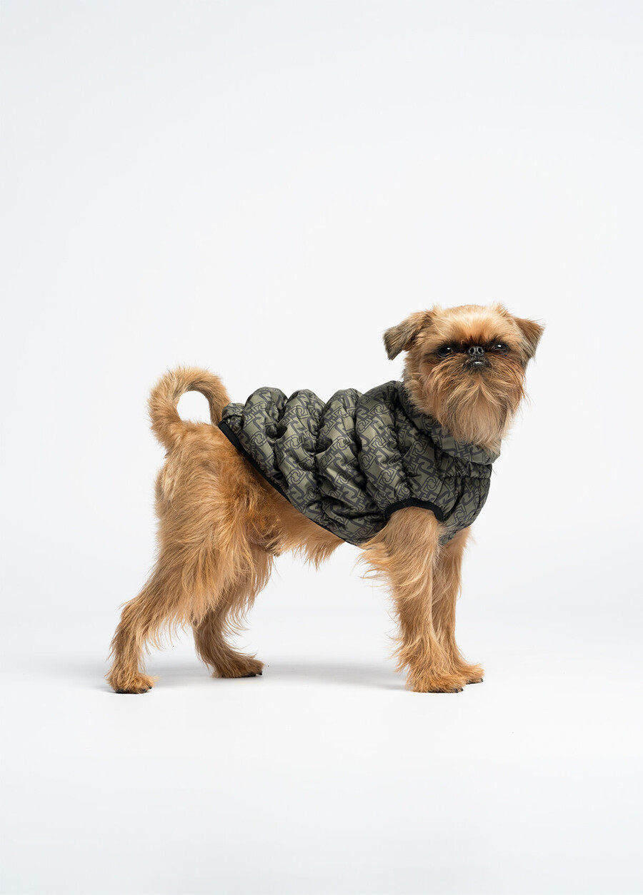 giacca imbottita liu jo pets