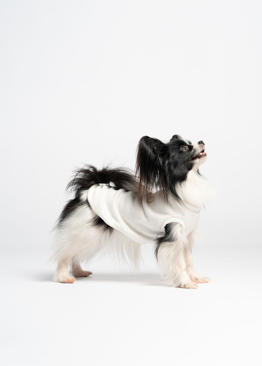 pullover in cotone liu jo pets