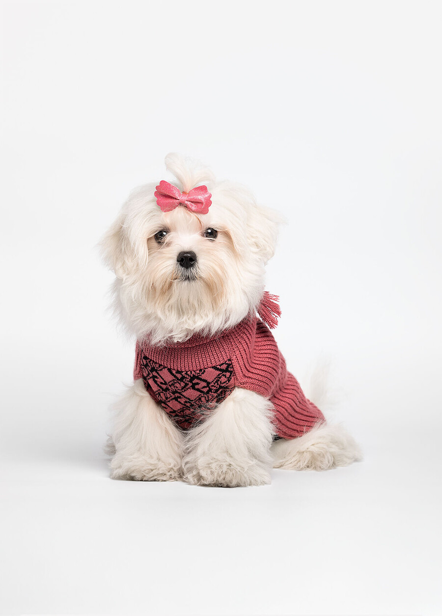 maglione a collo alto in lana e cashmere liu jo pets