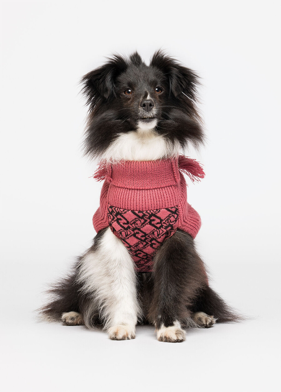 maglione a collo alto in lana e cashmere liu jo pets
